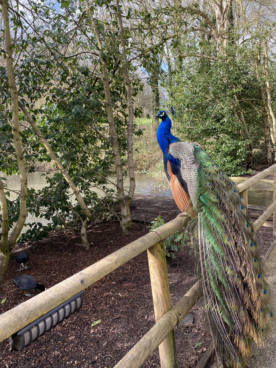 WestoverRasin's tweet photo. A little drizzle never hurt! Beautiful tour @leedscastleuk #WestoverMusic #WestoverGlobalPrograms ๐ฐ๐ฌ๐ง https://t.co/fHiOvF0mG7