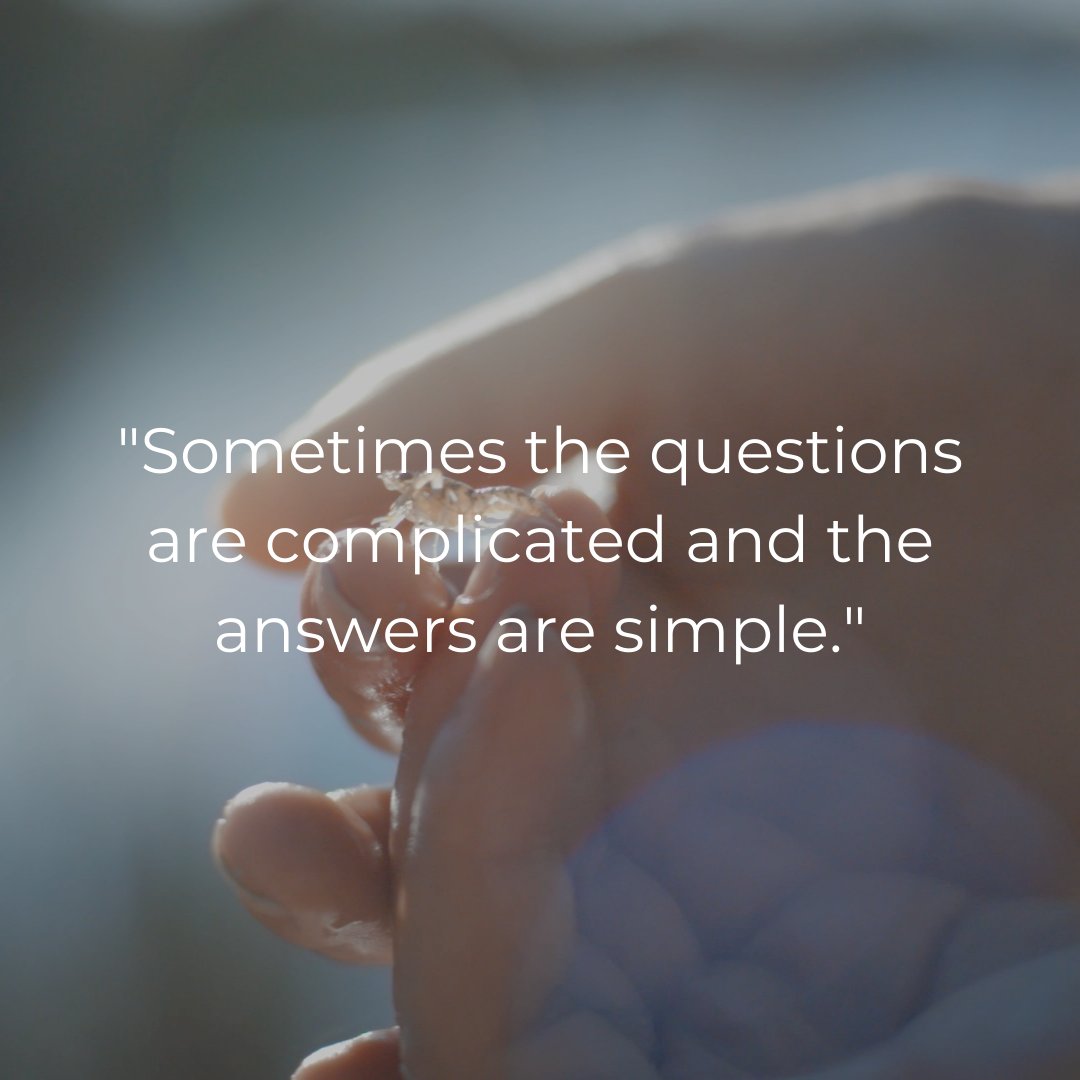 LAUNCH MEDIA tweet media