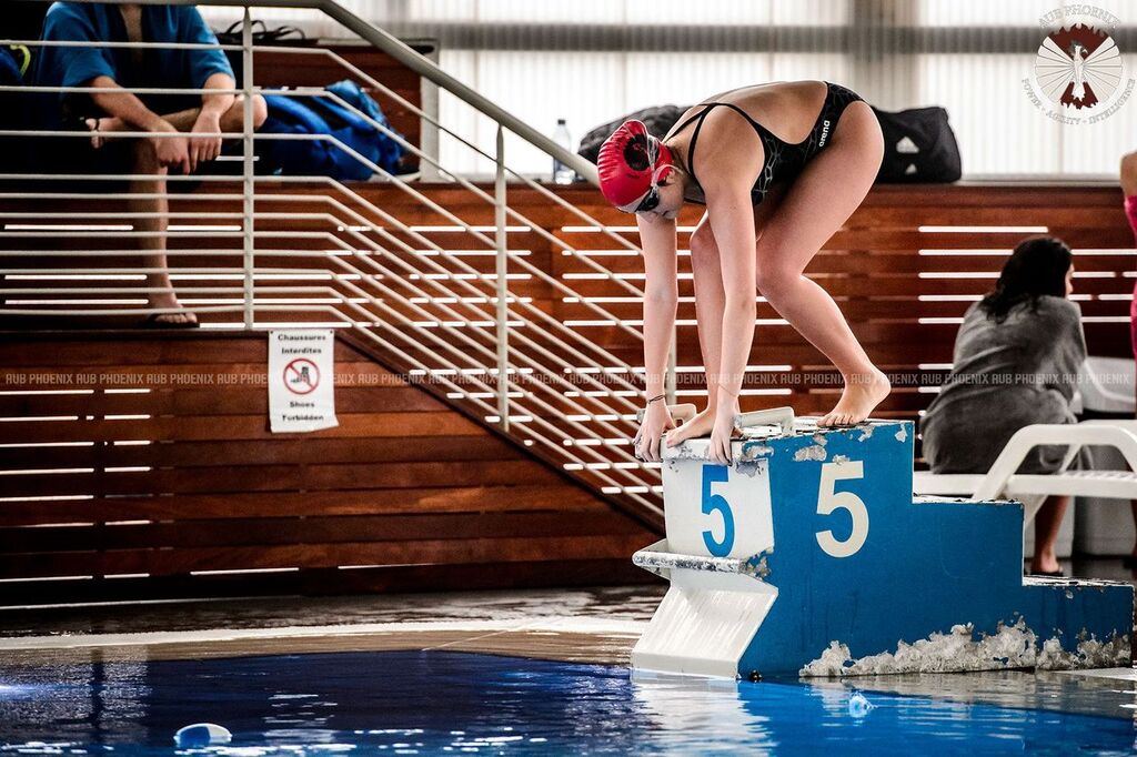 AUB Athletics tweet media