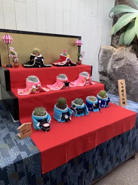 画像 / Picture