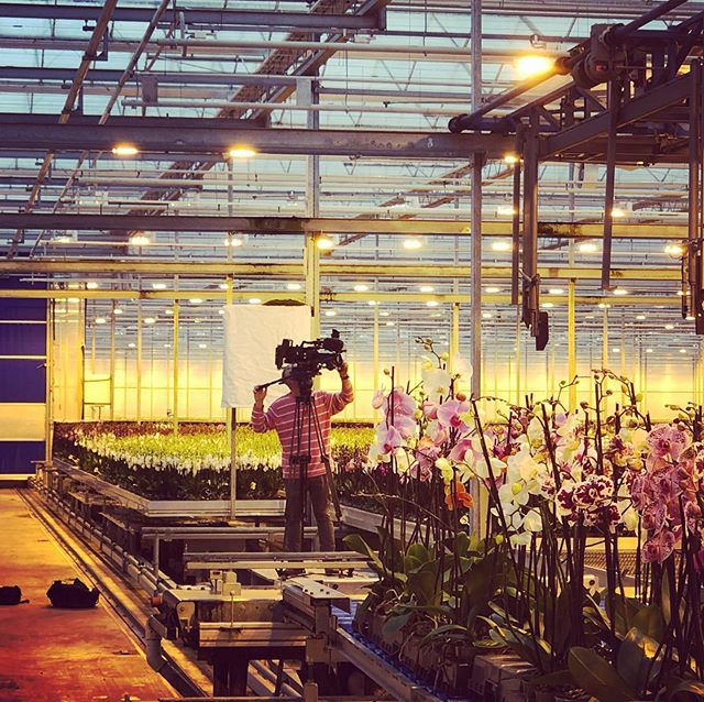 Bonito is vanavond om 21.30 uur op NPO 2 bij Nieuwsuur met een item over arbeidsmigranten. Kijken jullie ook?