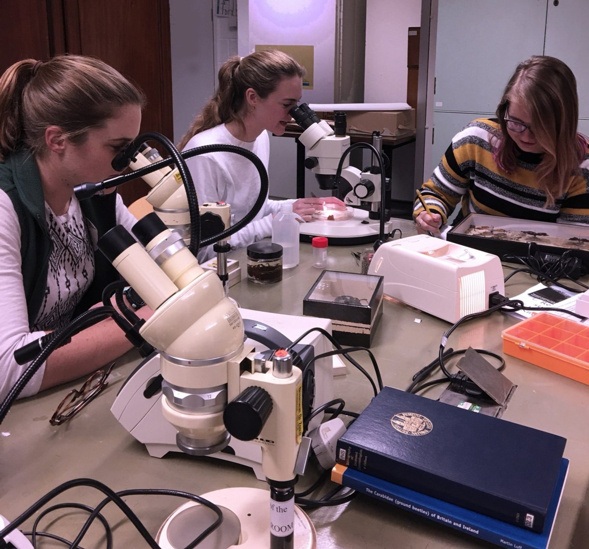 ZoologyMuseum's tweet photo. Meet some amazing women at the forefront of zoology and conservation at our International Women's Day event. 8 women talking for 15 mins each on various zoological themes, + the stories of many more.  Sat 7 March, 2pm - 4pm. Free, drop in. Ages 8+ #IWD2020  #EachforEqual https://t.co/eErN2q6Nsr