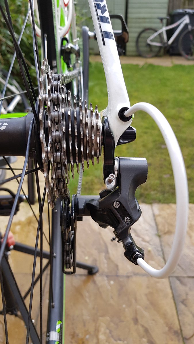 DEVTHEDEVDEV's tweet image. Spring is here. Time to get the green machine ready.  @TrekBikes @Bontrager @MichelinTyres @ShimanoROAD @Weldtite #madone #pro4 #spring #degreased