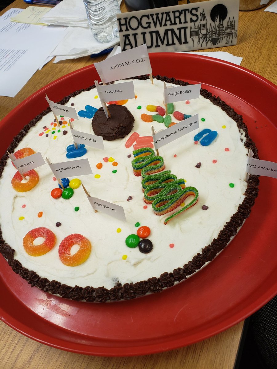 HNC73's tweet photo. Science can be delicious 😁🍪
@katscot
#DaretobeaBEAR
#TPSDPride https://t.co/7CBQizdaXd