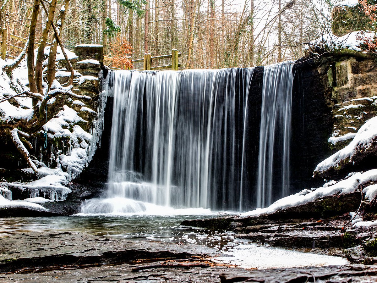 EllesmerePhoto's tweet photo. Plas Power Woods from 2 years ago today
#bersham #plaspower #water #photography #nantmill https://t.co/BfX1GeVeUO