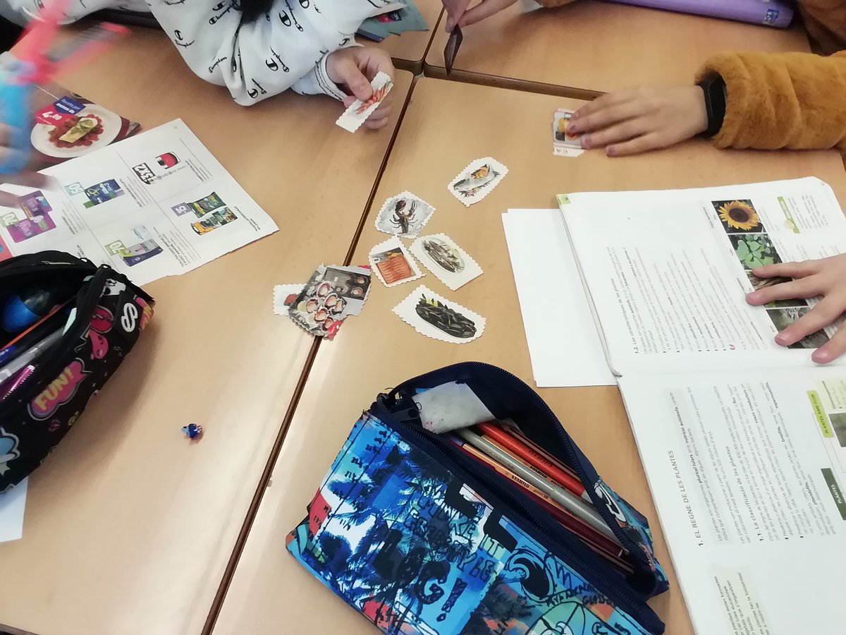 MariolaScience's tweet image. Finalizado el bloque "La biodiversidad en el planeta Tierra" en 1ESO, clasificamos diversos productos de supermercados en representantes de los 5 reinos. Actividad cooperativa en pequeños grupos con el fin de elaborar un mural común de toda la clase #cooperativo #profesBioGeo