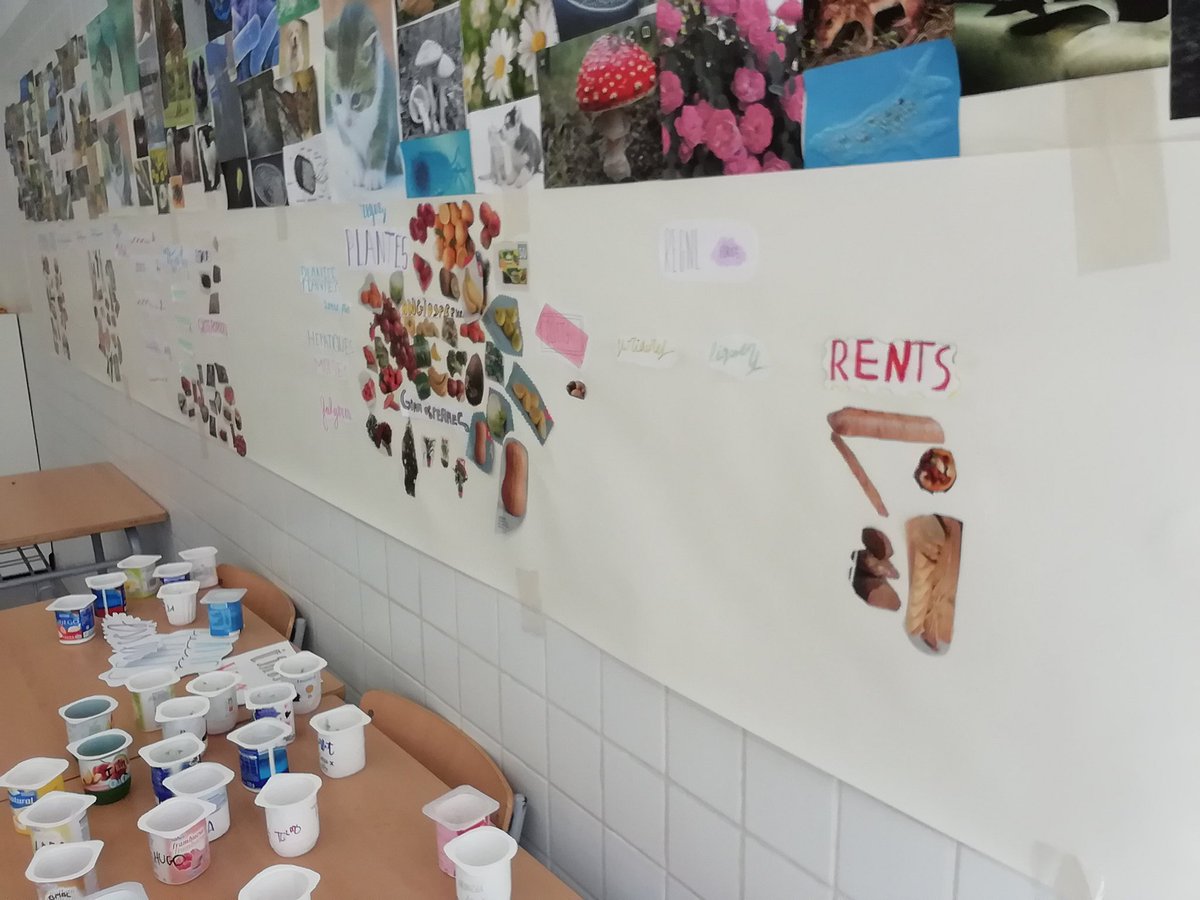 MariolaScience's tweet image. Finalizado el bloque "La biodiversidad en el planeta Tierra" en 1ESO, clasificamos diversos productos de supermercados en representantes de los 5 reinos. Actividad cooperativa en pequeños grupos con el fin de elaborar un mural común de toda la clase #cooperativo #profesBioGeo