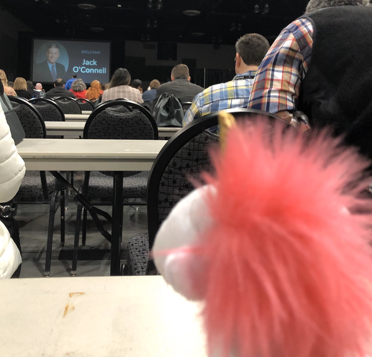 technology_rsd's tweet photo. Keynote time!! #livingthesislife #aeriescon #breakfast #conferance #keynote https://t.co/vV4jUQBnB4