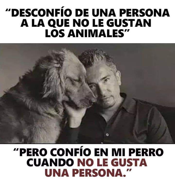 creer_ong's tweet photo. Buen comienzo de semana para todos 🐾❤️☺️
TE DESEA ONG CREER! https://t.co/tekCVoNaQl
