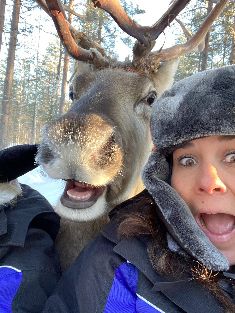 Always5Star tweet media