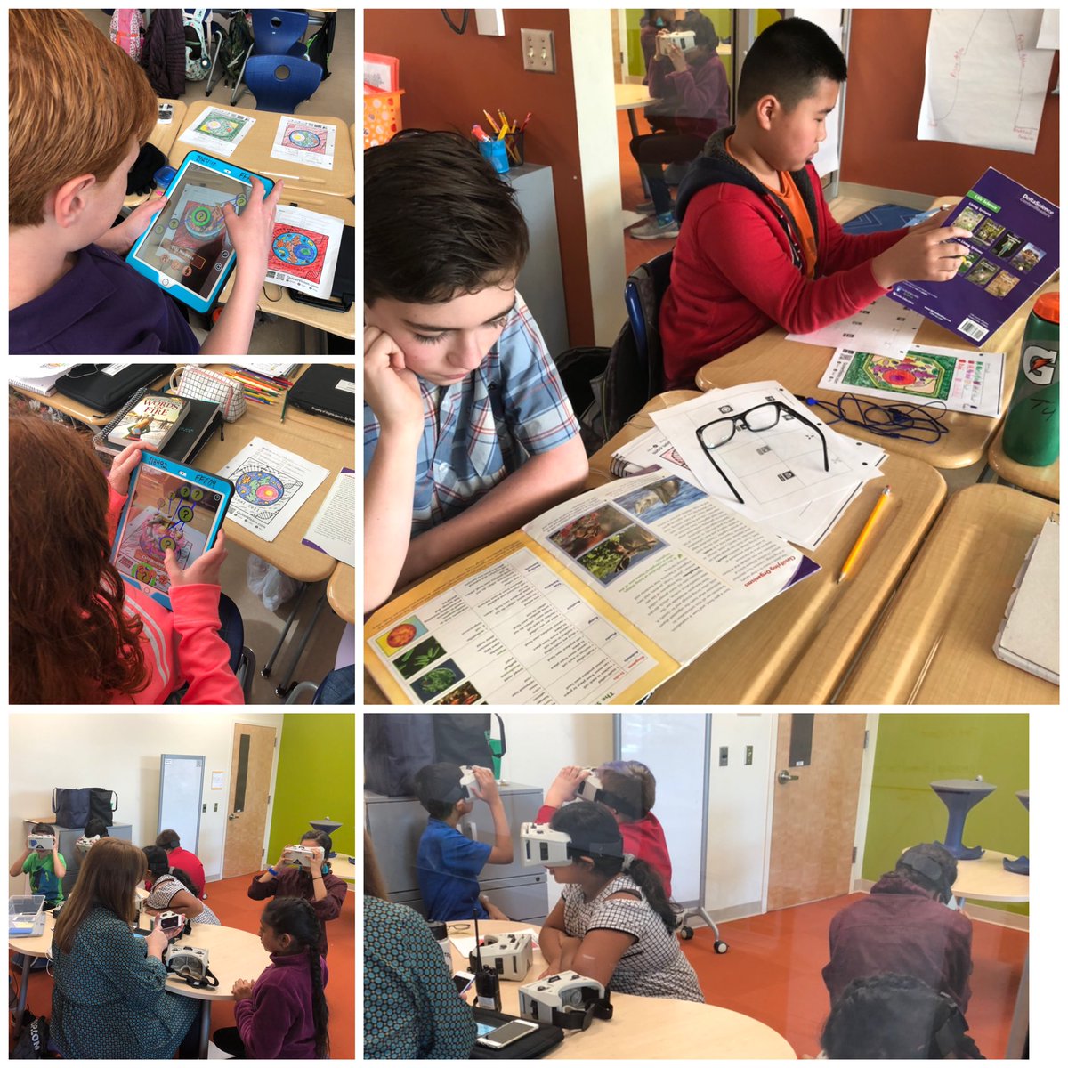 Students are using QuiverVision and Google Expeditions to interact with cells then describing the essential structures and functions of plant and animal cells using a Kaplan Icon graphic organizer.