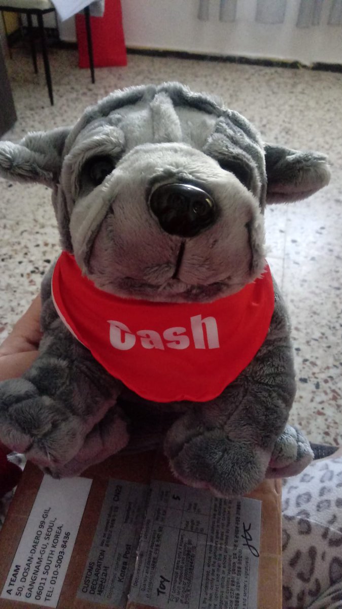 aynowifes's tweet photo. I already have you in my arm, thanks for appearing in my life Cash, and when VAV returns to Spain, you will go with me to the concert
#CuteCash #CashVAV #BabyCash
@VAV_official @twt_VAV @VavCash https://t.co/b2DDvO4t9V