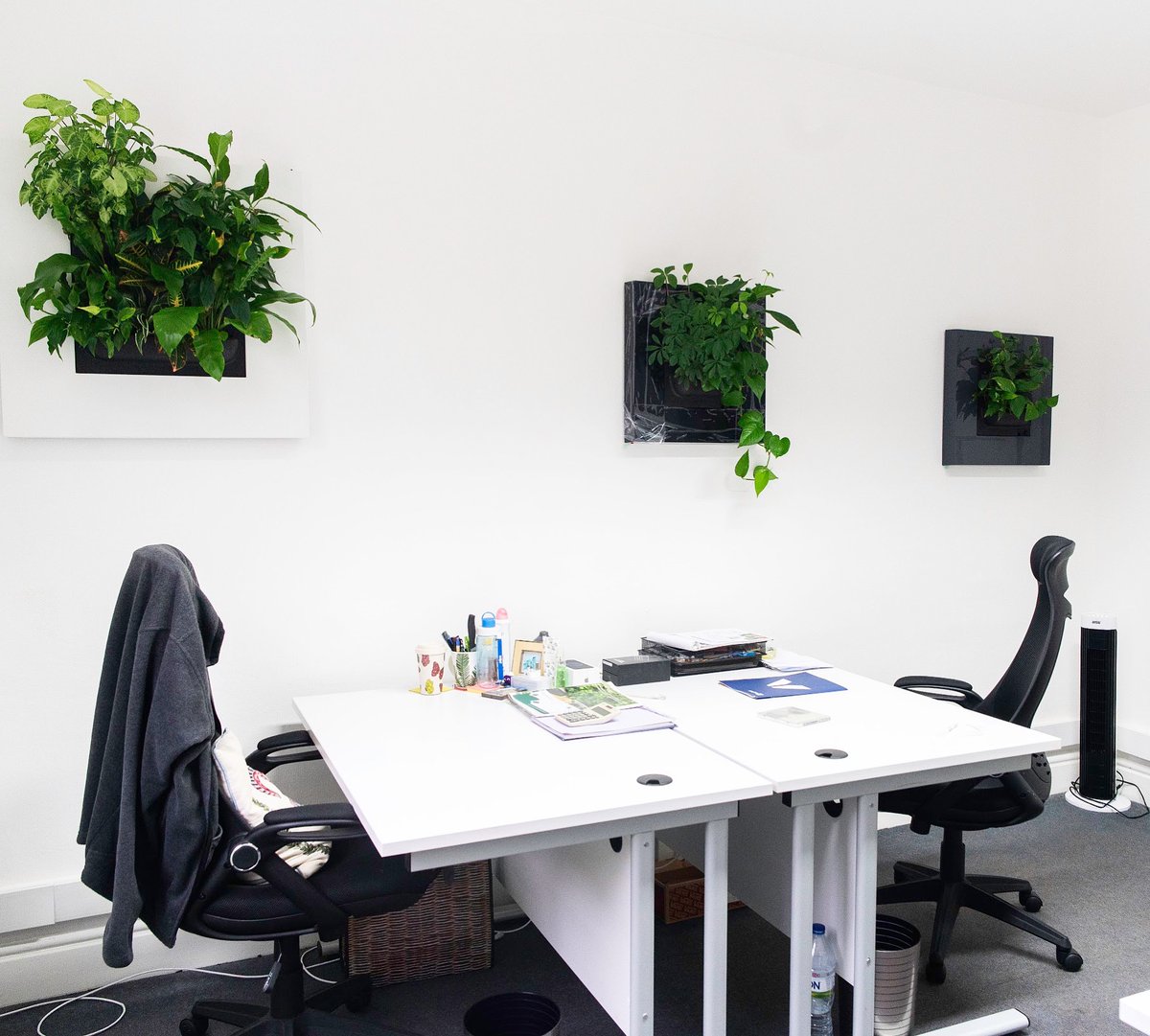 Beat your Monday blues by adding greens to your workplace. Contact Mobilane to get living walls and green roof designs for indoors and outdoors. . . . #regencyoffices #Mobilane #coworkingspace #workplacegoals #sustainableliving #Sustainability #servicedoffice #unitedkingdom