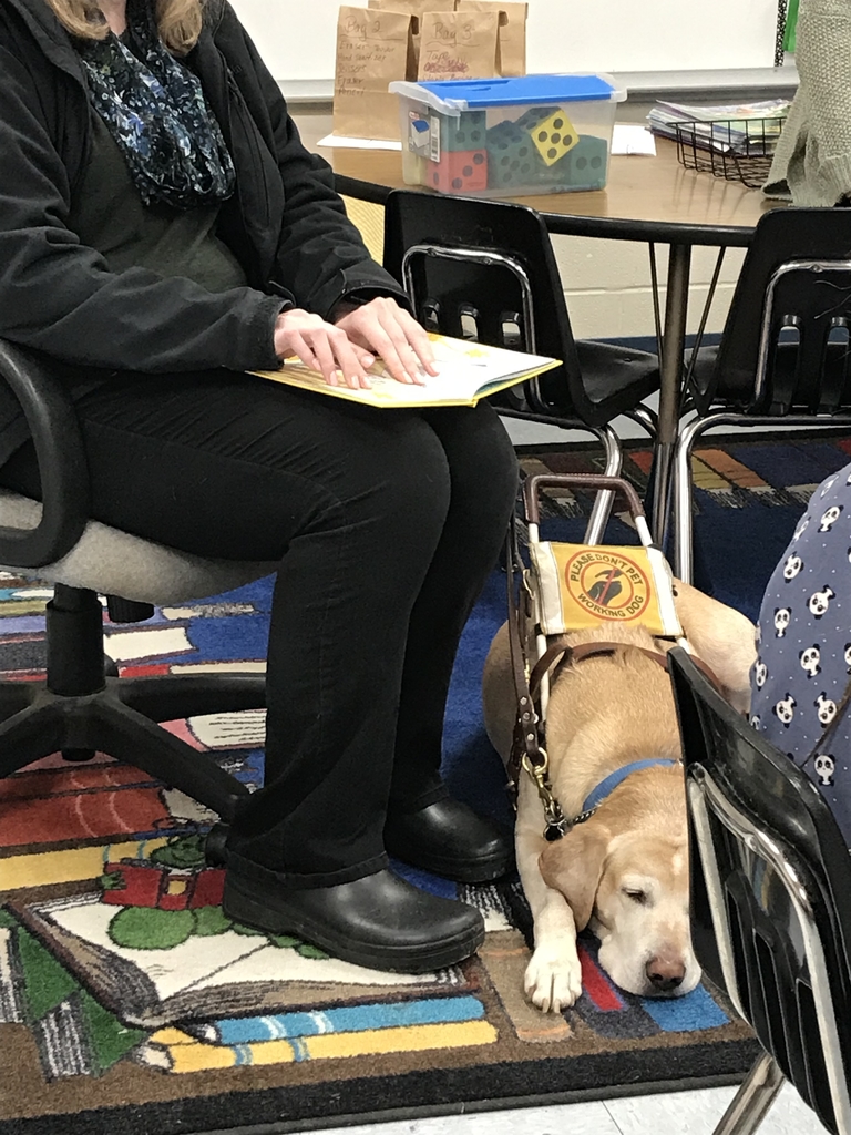CentralElemEag1's tweet photo. Central Elementary:  Mrs. Holbrook’s 3rd Grade Class kicked off Read Across America Week with guest reader, Ms. Sam and her service dog, Mister, who read Dr. Seuss’s book “I Can Read with My Eyes Shut” in Braille! https://t.co/Gn15HnKSVi