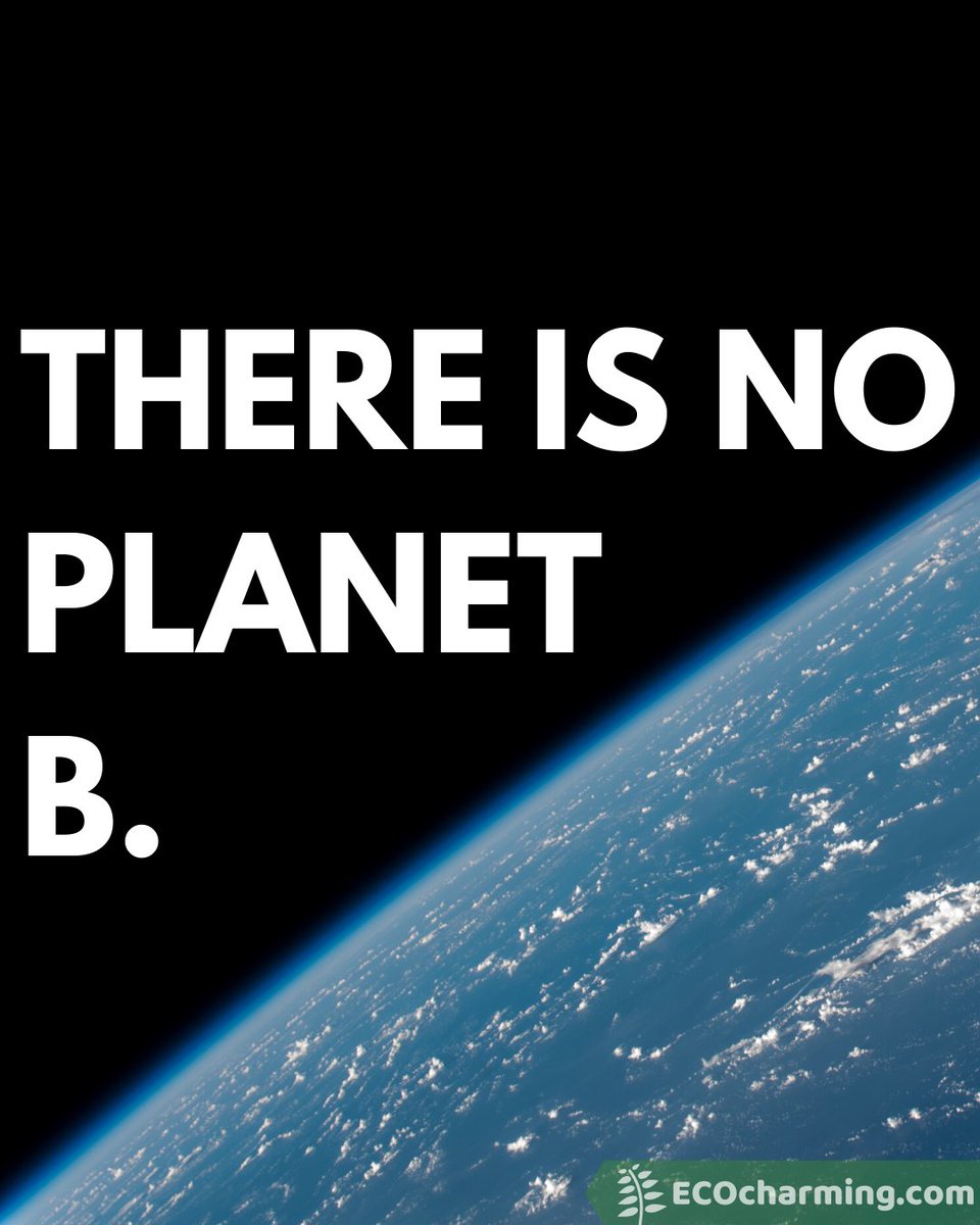 eco_charming's tweet photo. There is no planet B.
https://t.co/wUzycTFd7B
#ecoquotes #climatejustice #ecoliving #makeadifference #sustainableliving #saynotoplastic #environmentquotes #savetheplanet #saveourplanet #climateprotest #savetheearth #environment #climatechange #climatechangeisreal https://t.co/8U81ls9ohc