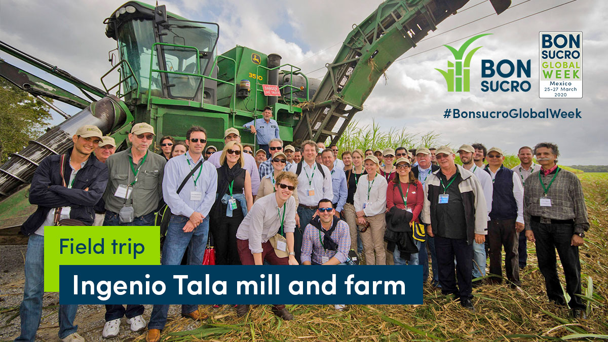 Bonsucro's tweet photo. Would you like to see how the #Bonsucro Production Standard for sustainable #sugarcane is applied on the ground? 🌱🌱

Don't miss our field trip to @IngenioTala's farm and mill on the final day of #BonsucroGlobalWeek in Mexico🇲🇽

Full programme: https://t.co/buLjQFNXTs https://t.co/F2AzoCxP2J