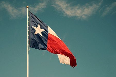 Texas Humor tweet media