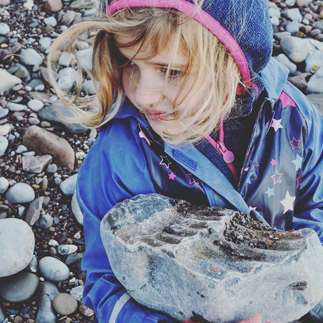 Kelly Mill tweet media