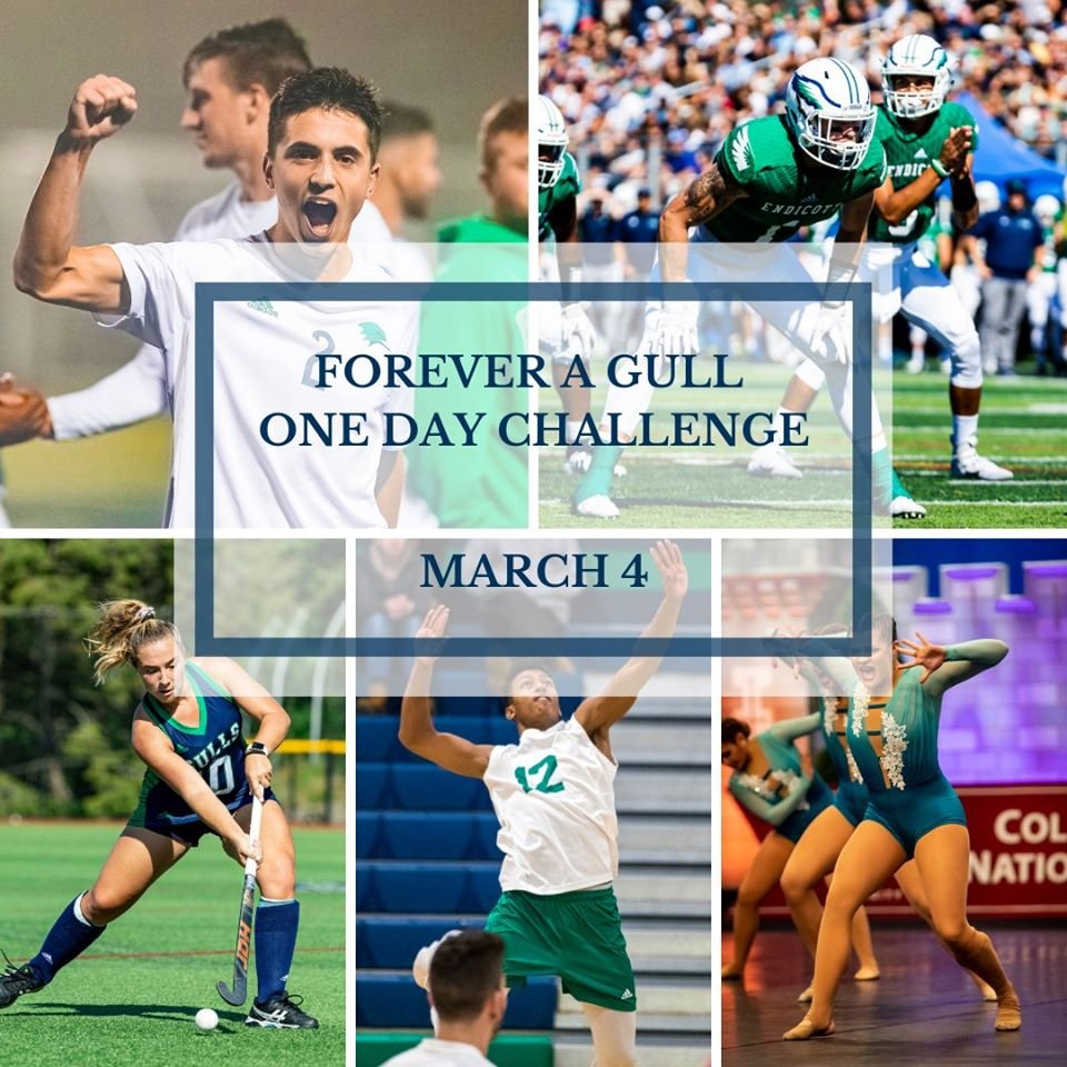 Endicott Mens Soccer tweet media