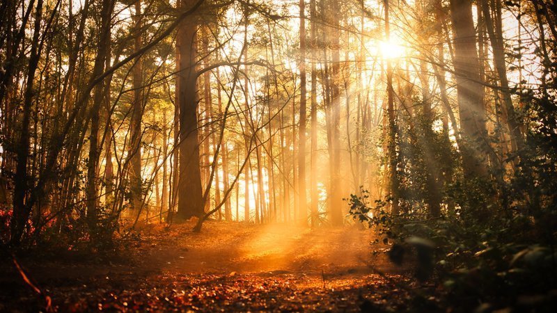 cloudlive's tweet image. Please support and share this petition to try and protect public access to military land when it is not being used for training. change.org/p/ministry-of-… @ByelawsR