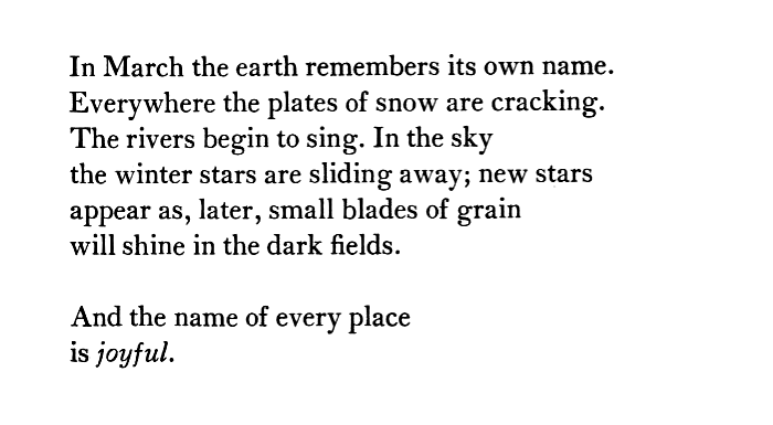 MJMcFadyen's tweet photo. An homage to the hopeful season of spring by #MaryOliver  

"and probably
everything
is possible." https://t.co/Xywy2ruvtW