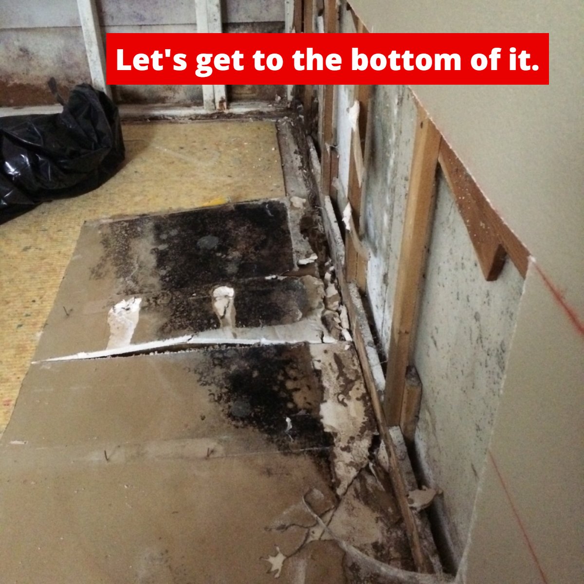 We can truly say that no stone goes unturned when we're in the house.