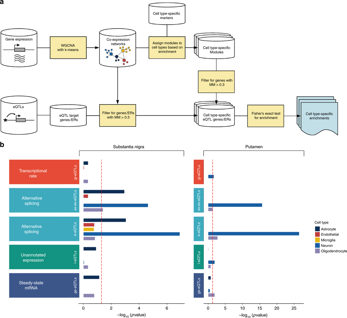 ensembl's tweet photo. Genetic control of gene #expression in human #brain:
regulatory sites for #splicing in basal ganglia are enriched for #disease-relevant information. @NatureComms @mikeweale
https://t.co/TGXFwGEF7q
#UsingVEP #CitedEnsembl https://t.co/FnegmEfQ7v