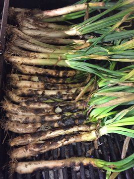 Lunya's tweet photo. Woo-hoo! It is #Calcot season and the #Calcotada is back! One of #Catalunya’s most traditional festivals on Sunday 15th March across all our sites #Liverpool @Liverpool_ONE @Lunyalita @theAlbertDock #Manchester #Deansgate #Spain #tapas #meat https://t.co/1v74iyGQFh https://t.co/QamuEXY4GB