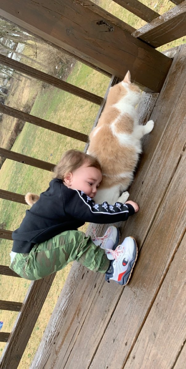 morganwells23's tweet photo. My baby looks like such a big boy now 🥺🥺🥺😢 https://t.co/EJyYfLrPtf
