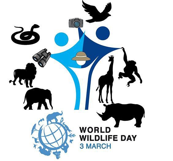 PhysicalBalance's tweet image. World Wildlife Day - Keeping You Active. 
#osteopathyworks #massage #acupuncture #pilates #yoga #sportsinjury #sportsmassage #podiatry #foothealth #overton