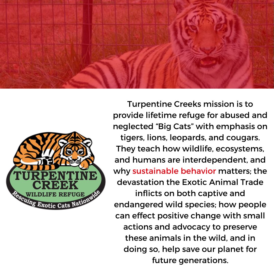 Alternative Breaks tweet media