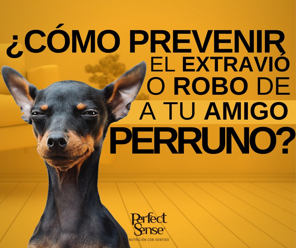 Evita dejar salir a tu perro sólo. Evita dejar a tu perro amarrado afuera de lugar públicos. Lleva al perro sujeto con correa en los paseos y en caso de dejarlo suelto, no lo pierdas de vista. Leer más en: bit.ly/39hl8Kv #FelizLunes #FelizInicioDeSemana