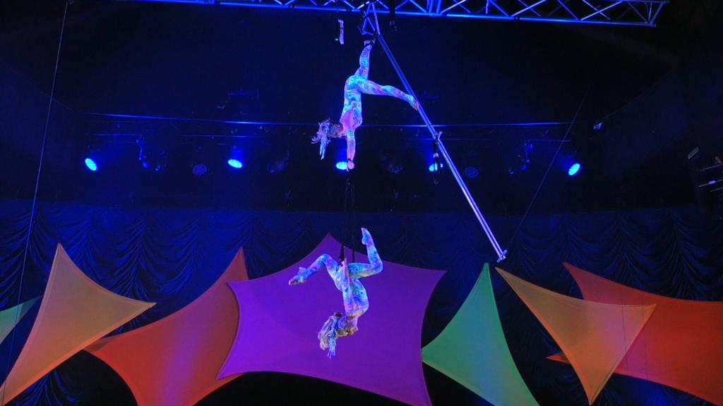 Busch Gardens Tampa Bay On Twitter Prepare To Be Amazed By