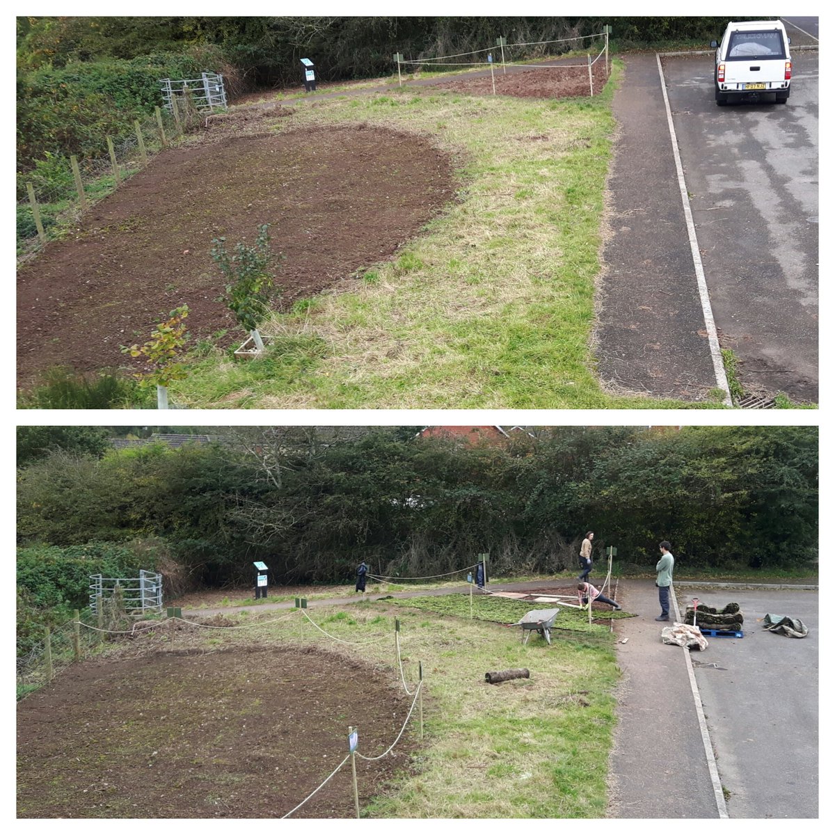 HenllysLNR's tweet photo. @CaulmsWood2020 @LGSpace This is exactly the same as we had, brambles, bindweed & creeping thistle encouraged littering, dog fouling & other ASB. We cleared, treated some, sowed & put down wildflower turf from Autumn 2016. We've totally transformed it: search @HenllysLNR & #NaturalBuzz put in date order https://t.co/Tik5R4Ycue