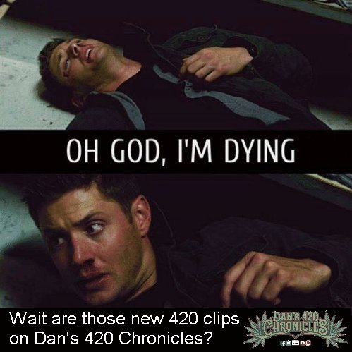 dan_chronicles's tweet image. I don't know is it?? 🤔
youtube.com/channel/UC3Yi9…

#Dans420Chronicles #NewClips #Coming #Today #RightNow