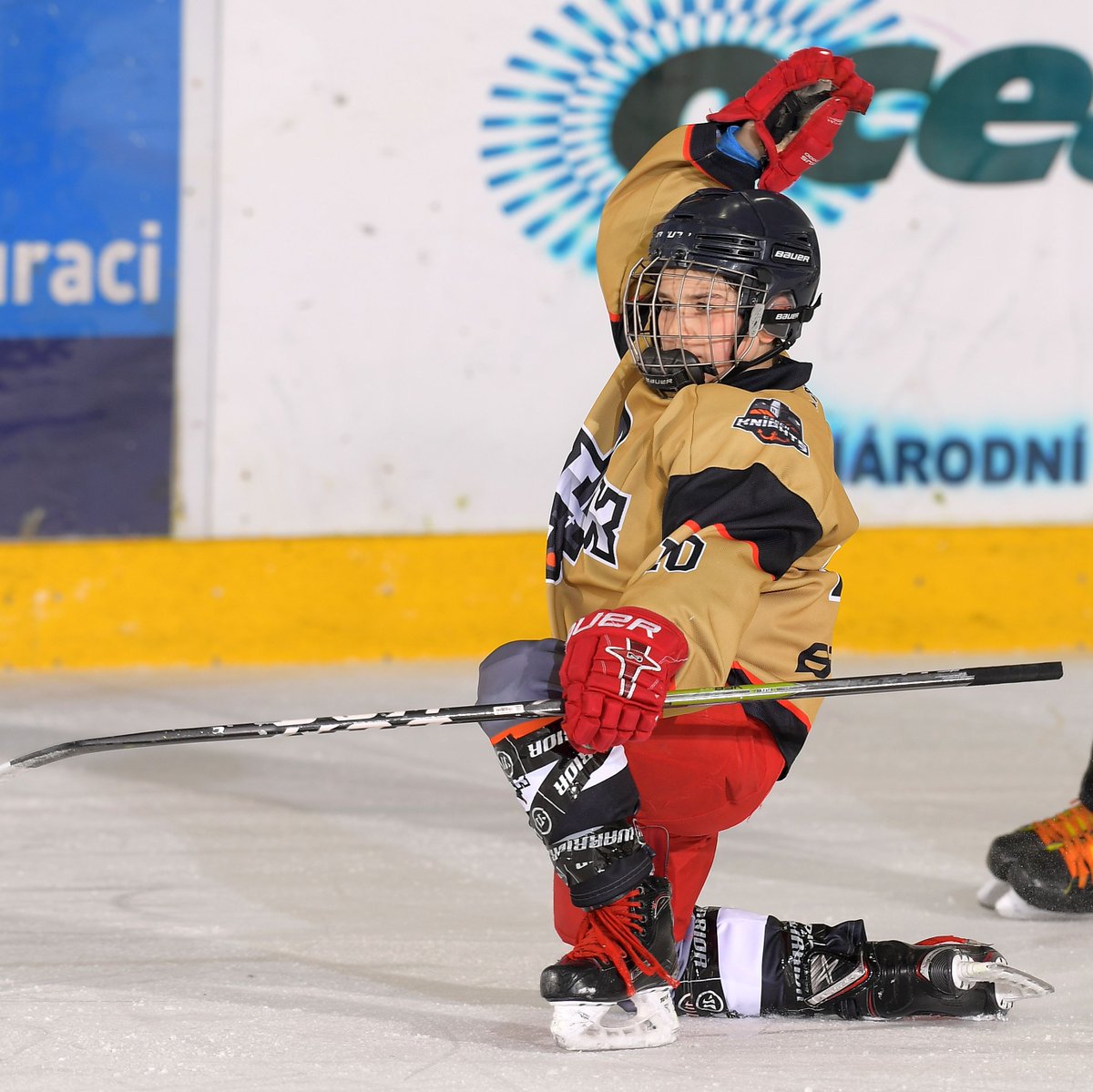 "Why fit in when you were born to stand out?" Happy #DrSeussDay from the LGS team!