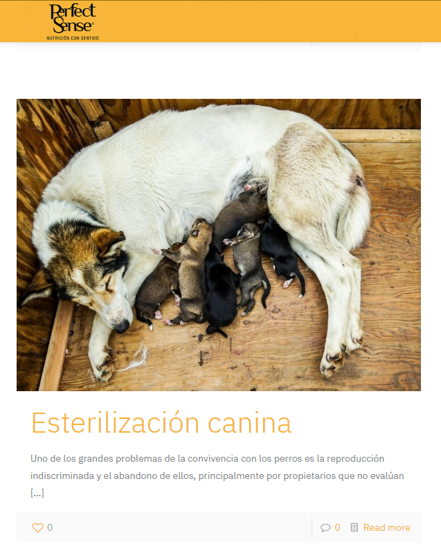 Esterilización canina, leer más en: bit.ly/2Vz8nXT 
#EsterilizaciónCanina #Mascotas #animales #dog #dogs #FelizLunes 
#FelizInicioDeSemana