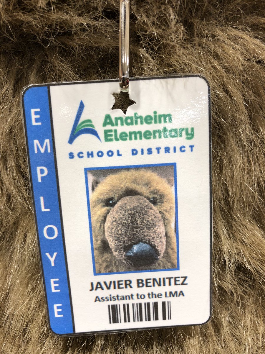 Stop by the library to meet our new library bear Javier! 🐻📚