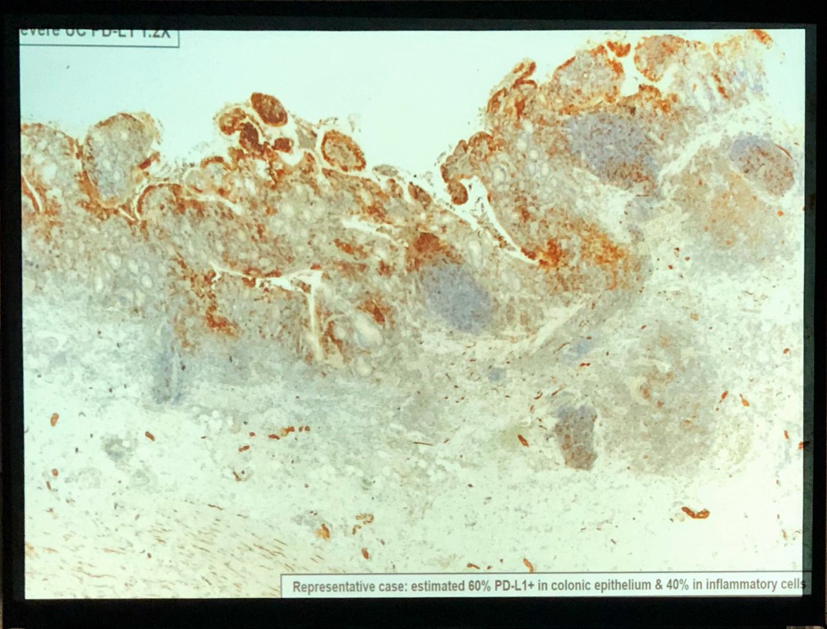 Maryam Pezhouh, MD, MS tweet media