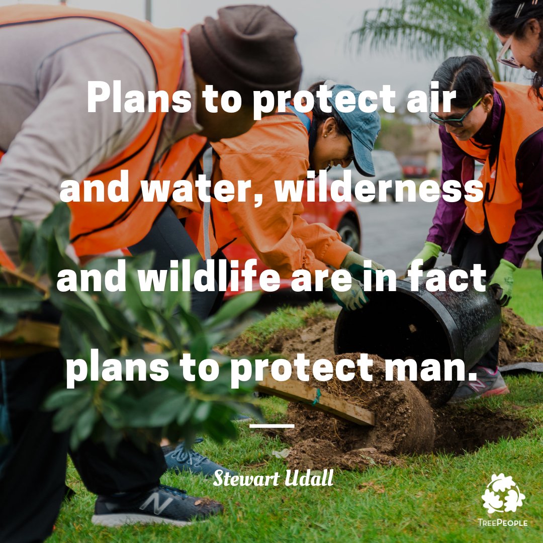 TreePeople_org's tweet photo. And you can always be a part of that plan with us! Visit https://t.co/wC6alyYQsf, find an event that sounds interesting to you, and sign up there! #MondayMotivation https://t.co/tobhMxhOHq