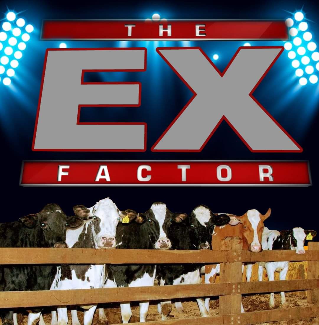 BREAKING NEWS!

AN OPPORTUNITY LIKE THIS HAS NEVER BEEN AVAILABLE GLOBALLY STAY TUNED FOR MORE INFORMATION!

Halls Tom Lomas Richard Bostock 'rb' Glyn Lucas Jonny Dymond Graham Kirby <a href="/Ross/">Ross Mayfield</a> Murray Halls Livestock and Machinery Sales

#TheEXFactor #NowTimeToBuy