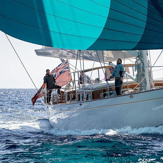 Magic Marine tweet media