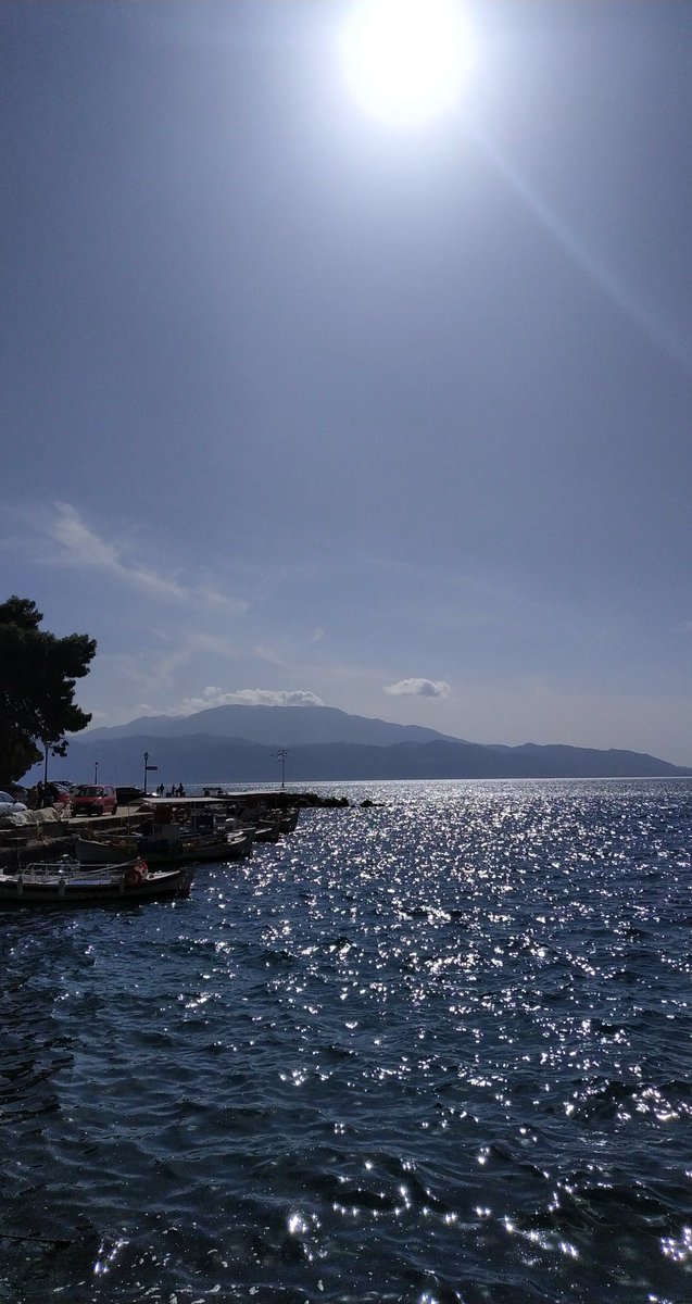 Ioanna_alexop's tweet photo. Ψάχνοντας για λίγο ήλιο εντός μας... https://t.co/WwqyPVSC1I