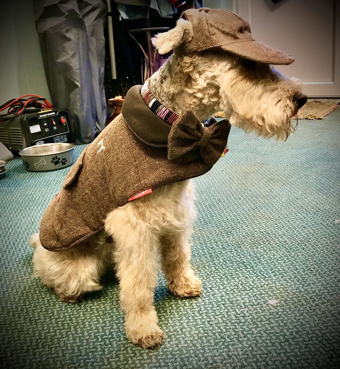 bertie_lakeland's tweet photo. @KeithScarrott @dredvers @OurChelt @CheltenhamBID @cheltfestivals @TheJockeyClub @Debaroundtown @Cheltenham_WDYT @MaybeTech Iβve got my outfit ready for the Races
#Comeshopping
#Cheltenham
#CheltenhamReady #CheltenhamFestival
ππ https://t.co/ERcvZoLoYL