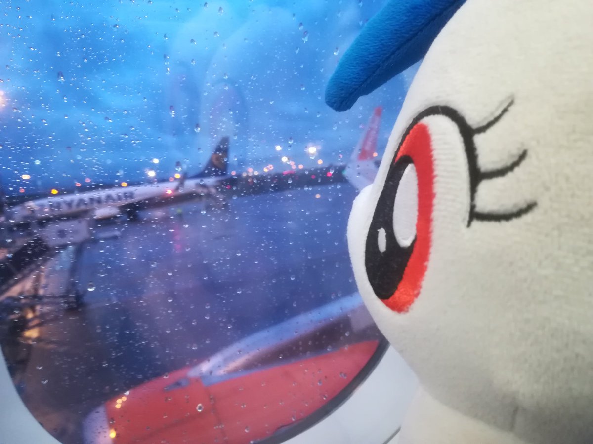 fang_cz's tweet photo. Going dark, se le you on the other side. Destination: Prague
#hwcon https://t.co/UkWTLRl4mr