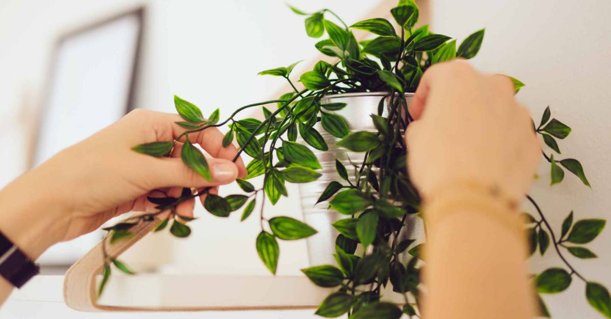 financialclay's tweet photo. Get your home buyer-ready with these #DIY tips: 

🔨 Make small repairs 
✨ Clean and tidy up 
🌵 Bring in some greenery 

https://t.co/sDERxqFqds via @moneywise https://t.co/38BCauTtht