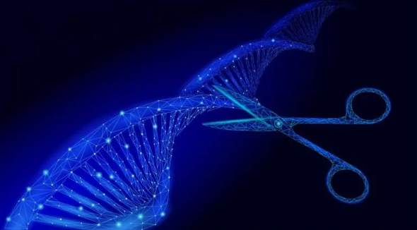 QPSHoldingsLLC's tweet photo. Check out our latest blog post about a new oncology study utilizing CAR-T and CRISPR to combat cancer https://t.co/Y3aPymJcVu. For information on QPS's immunology and oncology capabilities, visit https://t.co/WE0bMhg9rG or email info@qps.com. #QPSLLC #genetherapy #oncology. https://t.co/wNN5s5Y1V6