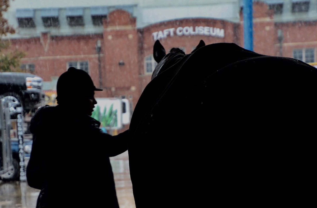 SUCCEED Equine tweet media