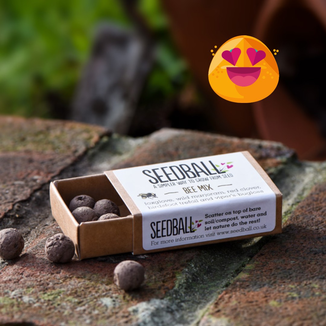 seed_ball's tweet photo. Lovelies! Did you know we do bee mix matchboxes in packs of 30?! Perfect for parties โญ๐
https://t.co/sV2CjPQ1xW
#partyfavour #partygifts #savebees #wildflowers https://t.co/aEEgeRukOL