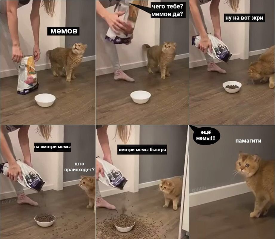 ESI0LKrXUAAS-z2?format=jpg&name=medium